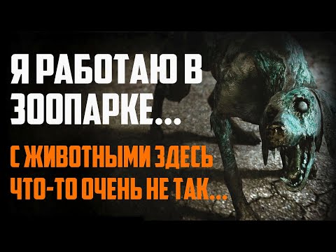 Видео: СТРАШНЫЕ ИСТОРИИ НА НОЧЬ - Я РАБОТАЮ В ЗООПАРКЕ И С ЖИВОТНЫМИ ЗДЕСЬ ЧТО-ТО ОЧЕНЬ НЕ ТАК - СТРАШИЛКИ