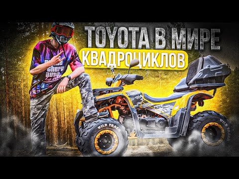 Видео: ОБЗОР -  Квадроцикла MOTOLAND WILD TRACK 200 Lux