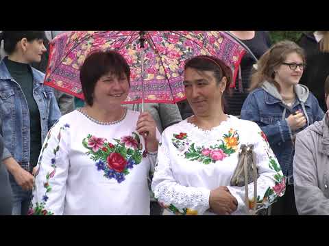 Видео: Рибиця