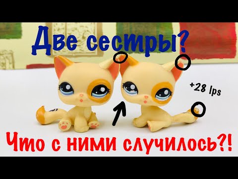 Видео: LPS: ДВЕ СЕСТРЫ? ЧТО С НИМИ?...