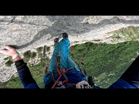 Видео: Мультипитч Мартышка. Оздоровительная прогулка.