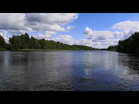 Видео: Прогресс 2м Сузуки ДФ 60, реданы и отогнутые скулы