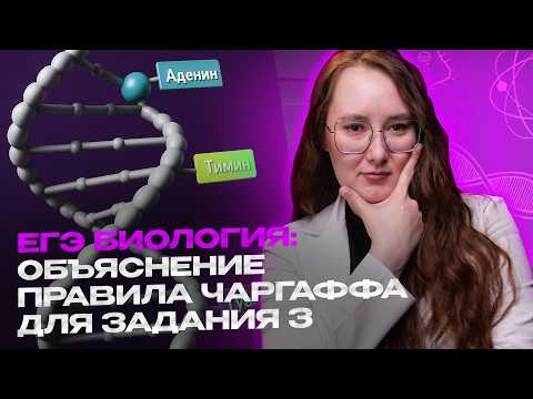 Видео: Как решать задание 3 ЕГЭ по биологии? Смотри тут!