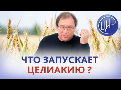Видео: Целиакия. Что провоцирует развитие целиакии при наличии предрасположенности? Отвечает Гузов И.И.