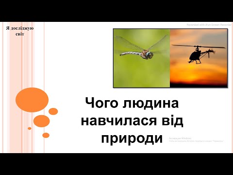 Видео: Я досліджую світ 2 клас (за підручником Т.Гільберг)