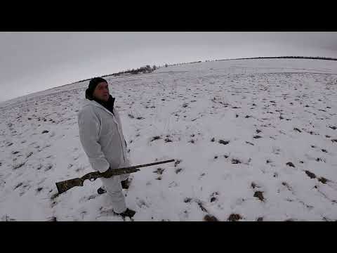 Видео: #Охота на  зайца|Отличное закрытие сезона 2021-2022