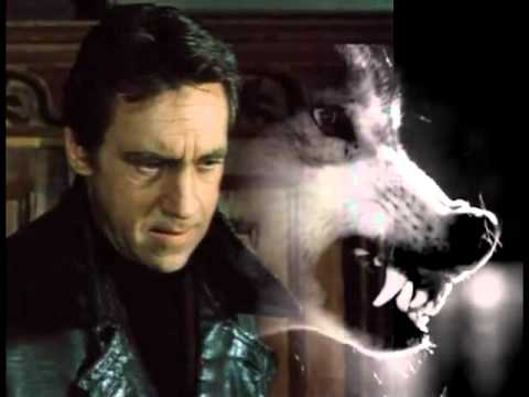 Видео: Стас Карпов & Глеб Жеглов  Волки