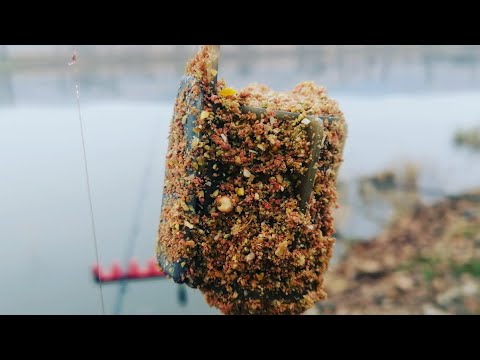 Видео: ФИДЕР в середине НОЯБРЯ. Клев как на ЧЕРНЫХ КАМНЯХ. #флэтфидер #фидер