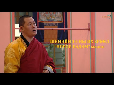Видео: ШИНИЙН 14-НЫ ИХ ЕРӨӨЛИЙН ХЭСГЭЭС... "НОРОВ БАДАМ" МААНИ🙏🙏🙏