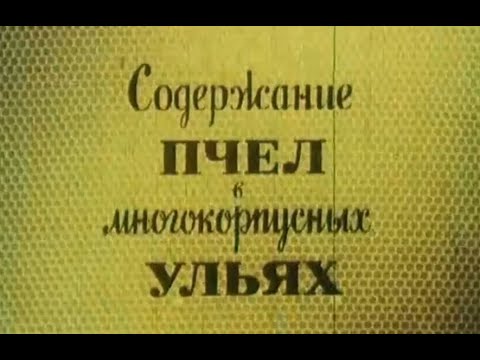 Видео: Содержание пчёл в многокорпусных ульях  Фильм СССР