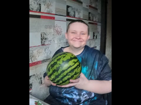 Видео: Обзор Лунного Арбуза!!!( Правда Не Очень Вкусный)!!