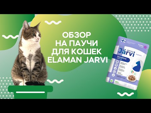 Видео: Краш-тест и контрольная закупка паучей для кошек / Влажный корм Elaman Jarvi / Саша знает