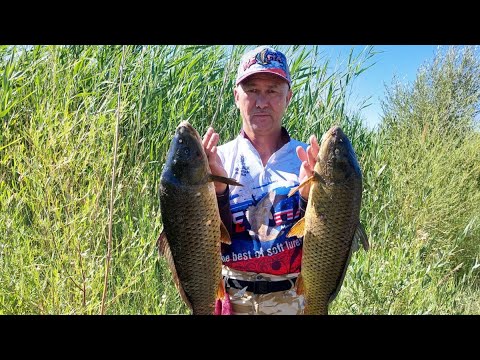 Видео: РЫБАЛКА на САЗАНА  на речке ЛЕПСЫ с НОЧЁВКОЙ.