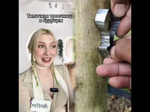 Видео: #пов #школа #староста