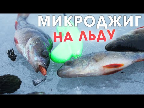 Видео: Ловля окуня на микроджиг со льда / зимняя рыбалка в 2021 в Беларуси