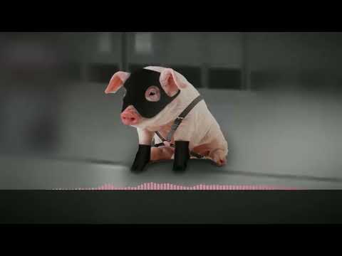 Видео: Кабанчик ♂Right Version♂ - Gachi remix но на 10 часов)!