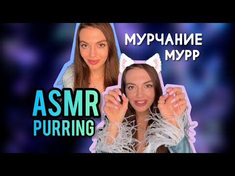 Видео: АСМР мурчание| ASMR purring