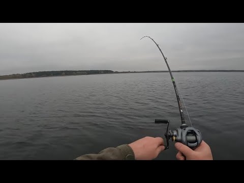 Видео: РИБАЛКА ПЕРЕД ЛЬОДОСТАВОМ! Ловля щуки по холодній воді!  Рибалка в Хрінниках 2024