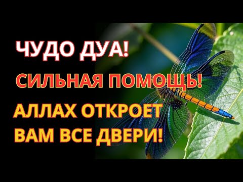 Видео: СЛУШАТЬ КАЖДОЕ УТРО! ДЛЯ ДОСТАТКА В ДОМЕ И БАРАКЭТА!
