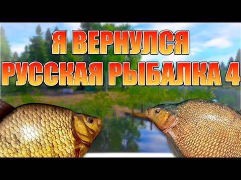 Видео: Я ВЕРНУЛСЯ В РУССКУЮ РЫБАЛКУ 4❗СТРИМ С ВЕБКОЙ ❗RUSSIAN FISHING 4 #shorts  #rr4 #russianfishing