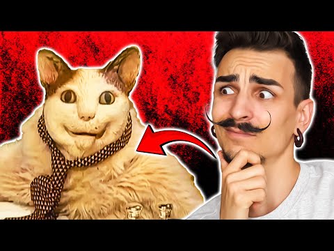 Видео: Я СТАЛ КОТОМ БУ! ИСПУГАЛСЯ! 😱 МОЯ ЖИЗНЬ НЕ БУДЕТ ПРЕЖНЕЙ!