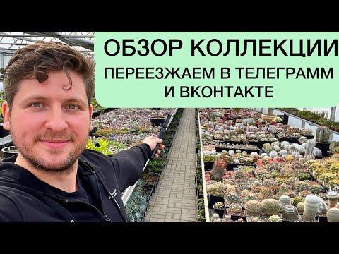 Видео: ОБЗОР КОЛЛЕКЦИИ СУККУЛЕНТОВ 13.03.2022 | ПЕРЕЕЗД ВКОНТАКТЕ И ТЕЛЕГРАММ | ГЕОРГИЙ АРИСТОВ СУККУЛЕНТЫ