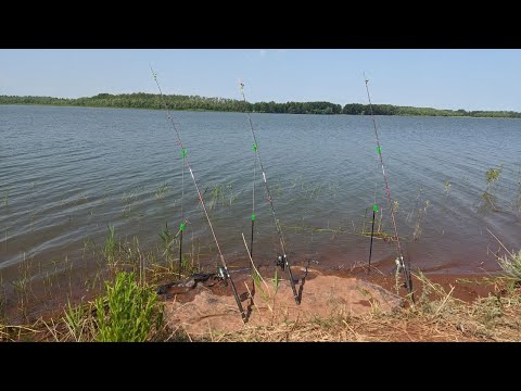 Видео: Рыбалка на Димитровском водохранилище.