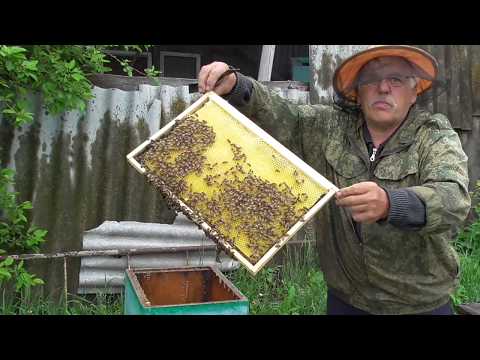 Видео: СТАВИМ ВТОРОЙ КОРПУС ПО ПРИНЦИПУ ДУПЛА.