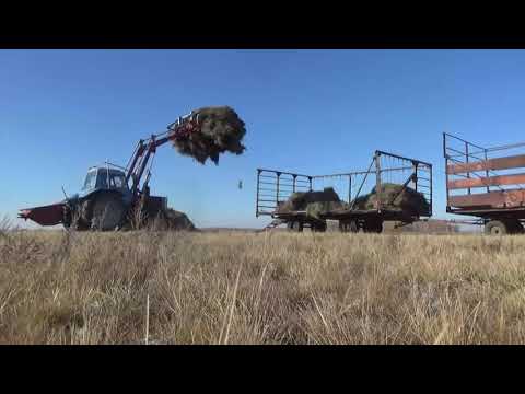 Видео: Вывозка и скирдовка сена, делаем сарай.