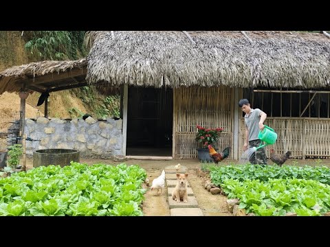 Видео: Охота на гигантских крабов, строительство новой кухни из камня.