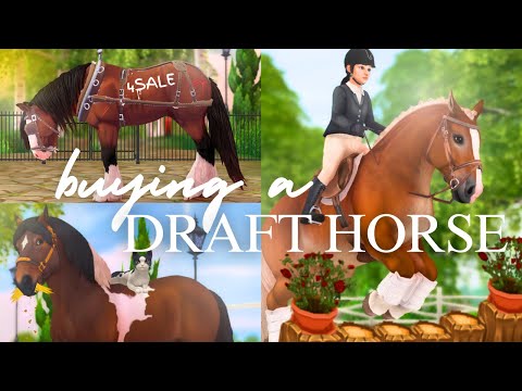 Видео: Проект моей мечты! ✨ Ищу большого друга II SSO RRP