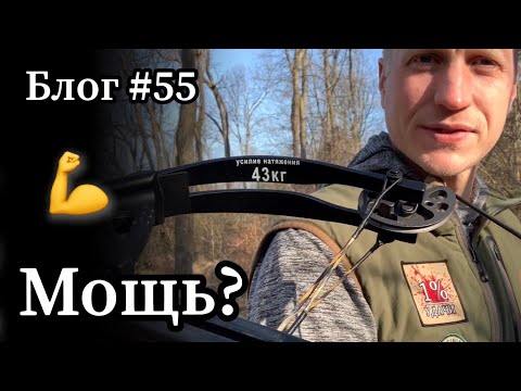 Видео: Возможна ли охота на копытных с арбалетом с детскими плечами 43кгс? Проверим!