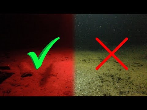 Видео: РЕАКЦИЯ РЫБЫ НА СВЕТ ФОНАРЯ НОЧЬЮ