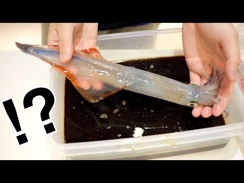 Видео: Живой кальмар...