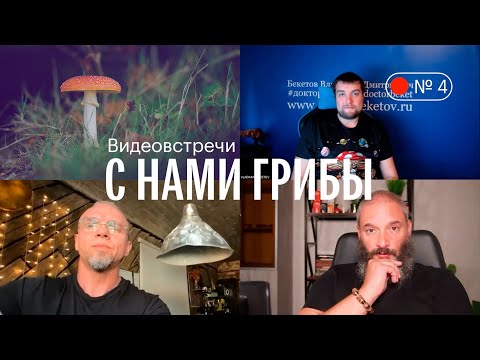 Видео: С нами грибы. Грибы и психические расстройства. Вишневский, Бекетов, Епифанцев