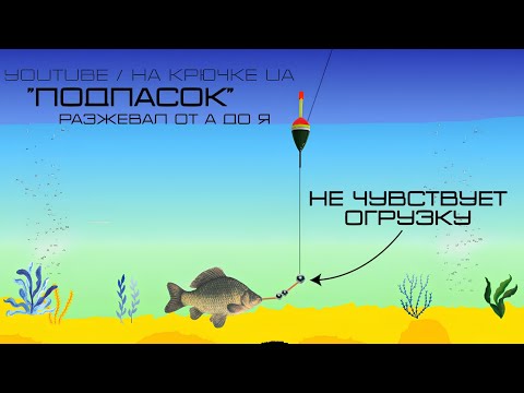 Видео: Очень ВАЖНАЯ часть оснастки ПОДПАСОК. Каждый рыболов ОБЯЗАН знать это! #рыбалка #подпасок #fishing