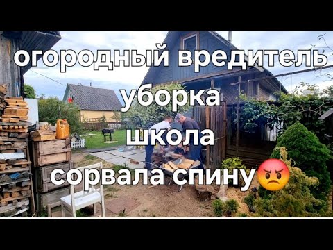 Видео: 🫶 Большой влог в городе и на даче 🇧🇾 Минск Беларусь 