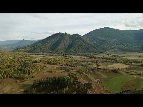 Видео: Горный Алтай, Тихонькая, Уймонская долина!