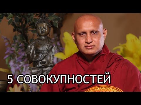 Видео: Бханте Ньянасиха. 5 Совокупностей / Студия Бодхи