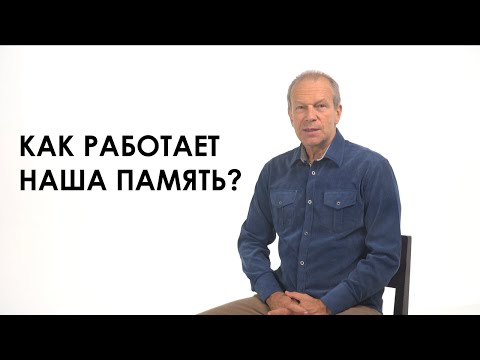 Видео: Как работает наша память?