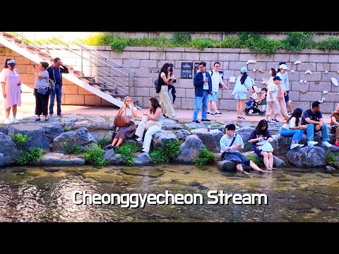 Видео: Чусок на Чхонгечхон 🐳 Прогулка в солнечный день