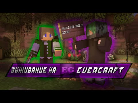 Видео: Играем на приватном сервере EverCraft
