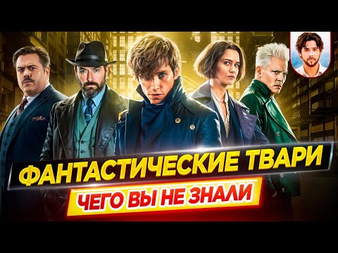 Видео: 🪄 ФАНТАСТИЧЕСКИЕ ТВАРИ - Самые интересные факты - ЧЕГО ВЫ НЕ ЗНАЛИ о франшизе // ДКино