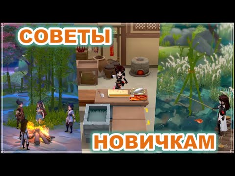 Видео: ПОЛЕЗНЫЕ СОВЕТЫ новичкам IMMORTAL LIFE