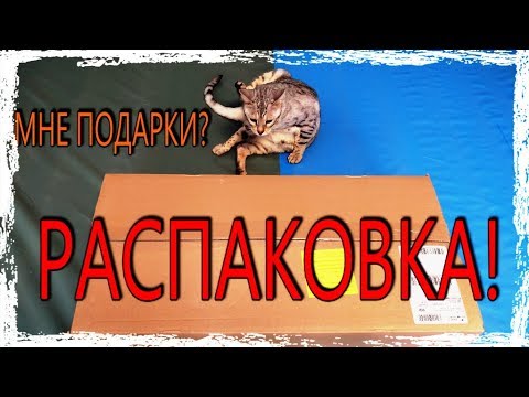 Видео: Распаковка. Что купили Коту?