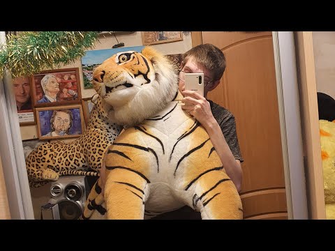 Видео: Обзор всех моих мягких тигров  в 2022 году