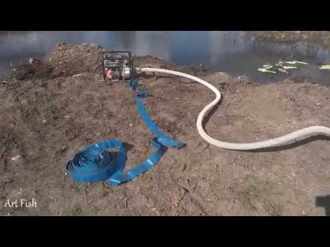 Видео: Откачиваю старый пруд,кидаю поисковый магнит,ставлю верши на карася