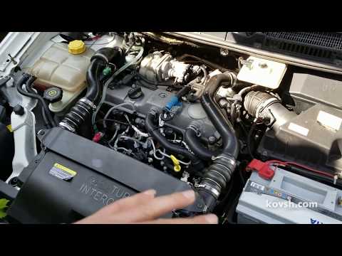 Видео: Причина дымления дизеля на холодную о которой многие не знают, Ford  Connect 1.8d, HCPA