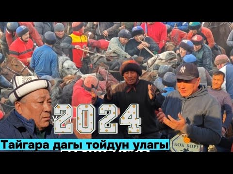 Видео: Тайгара тойдун улагы