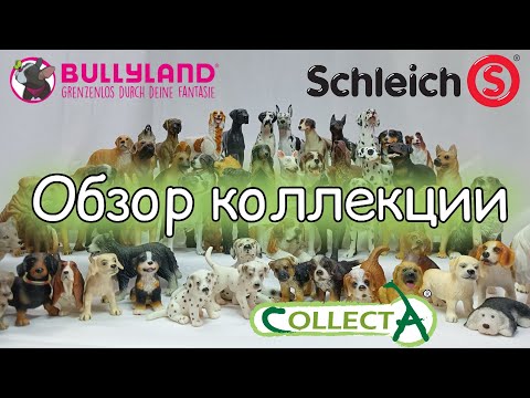 Видео: ОБЗОР/Все мои собаки/schleich, collecta, bullyland, mojo, papo